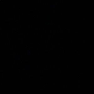 Meet your Posher, Bob